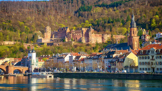 Heidelberg Segway tour with Castle