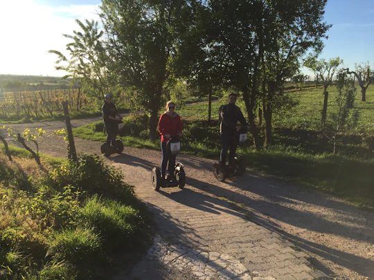 Segway tour in the surroundings of Heidelberg