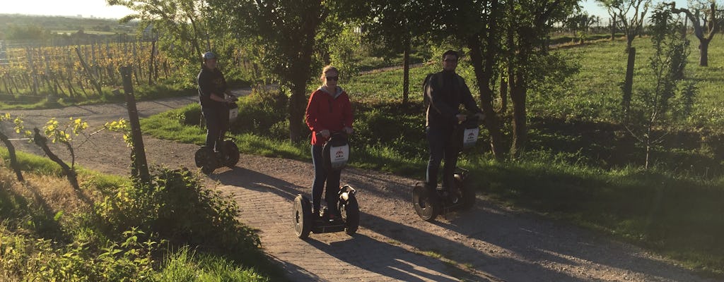 Tour mit E-Stehroller in der Umgebung von Heidelberg