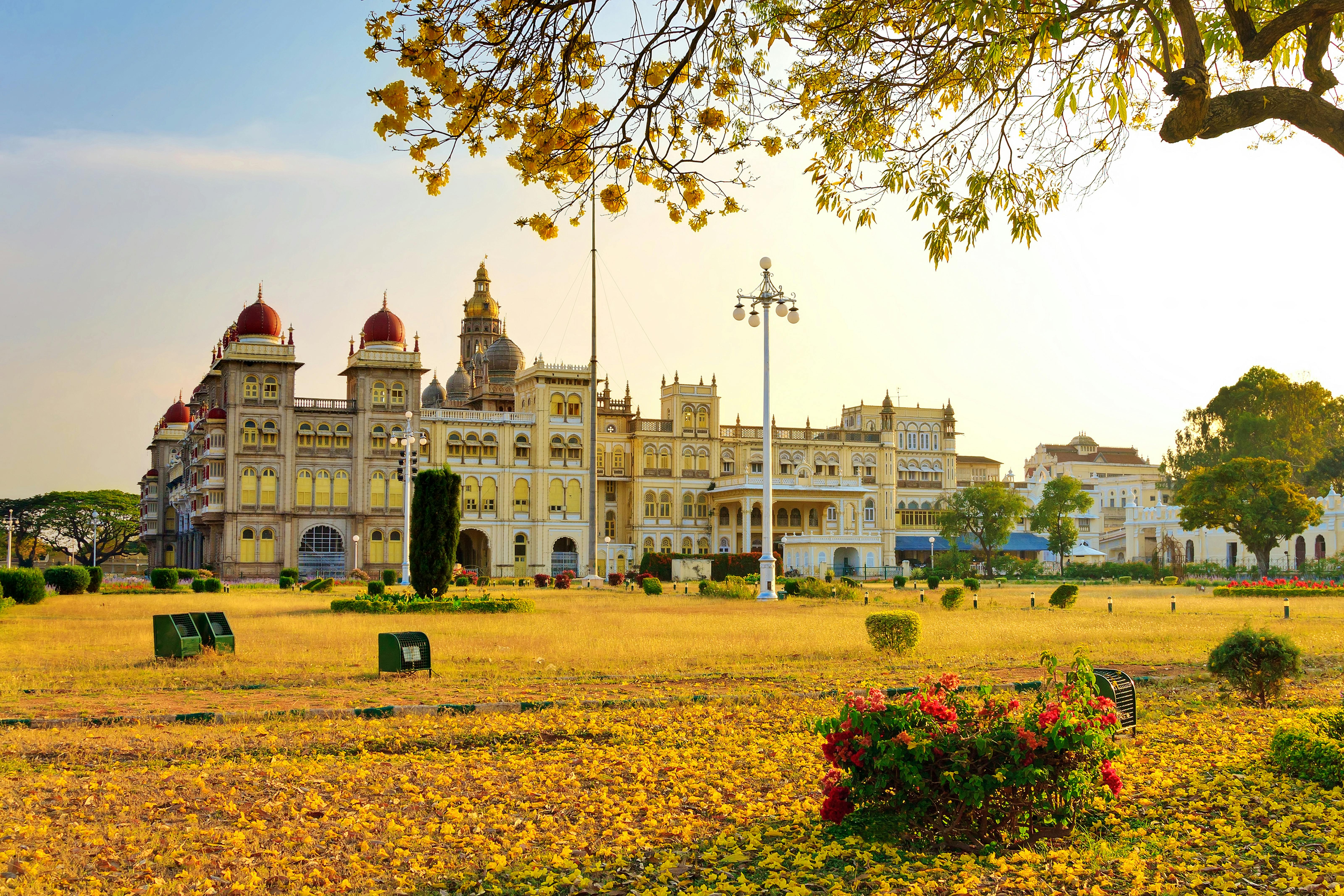 Passeio pela cidade e vida selvagem de Mysore