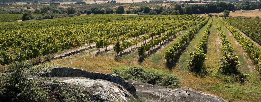 Region Dao i wino i ser Serra da Estrela z Porto