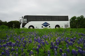 Tours de un día y Excursiones