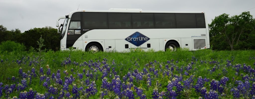 Tour in Texas Hill Country e LBJ Ranch da San Antonio