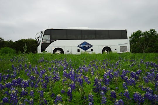 Texas Hill Country and LBJ Ranch sightseeing tour from San Antonio