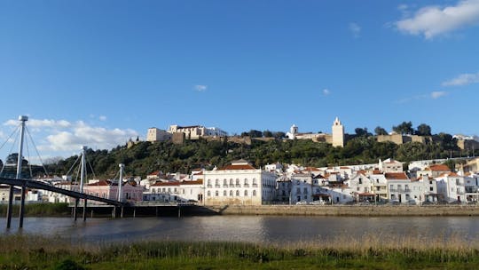 Costa do Alentejo, praia da Comporta, viagem de dia inteiro a Alcacer do Sal