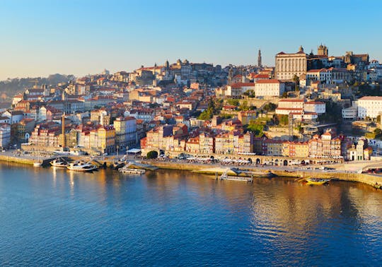 Wine and history private tour in Porto