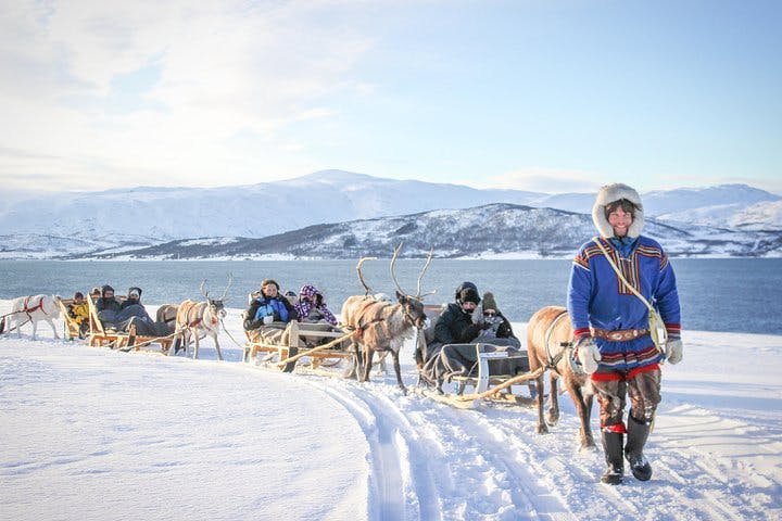 Promenade en traîneau de 30 minutes avec une expérience de la culture sami