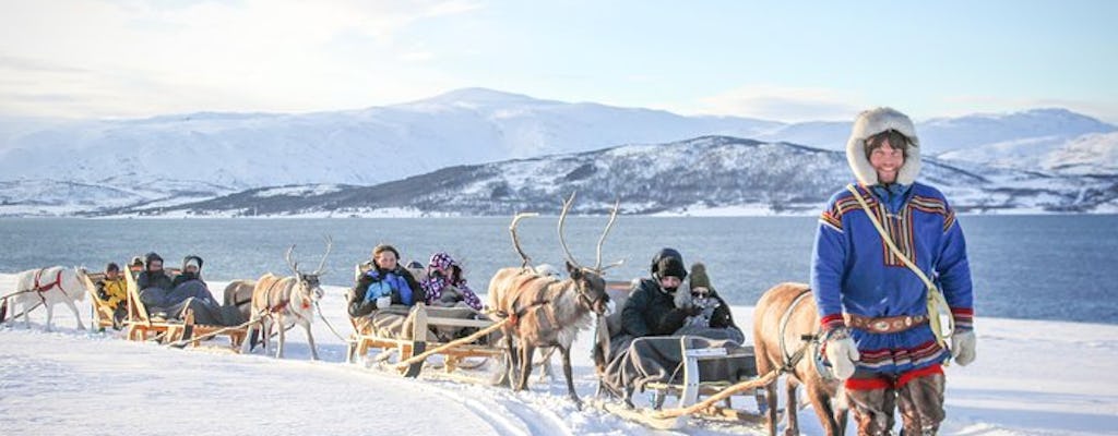 30-minute sleigh ride with a Sami culture experience