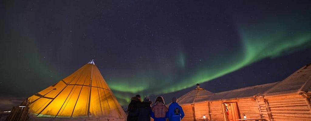 Dinner at a reindeer camp and northern lights