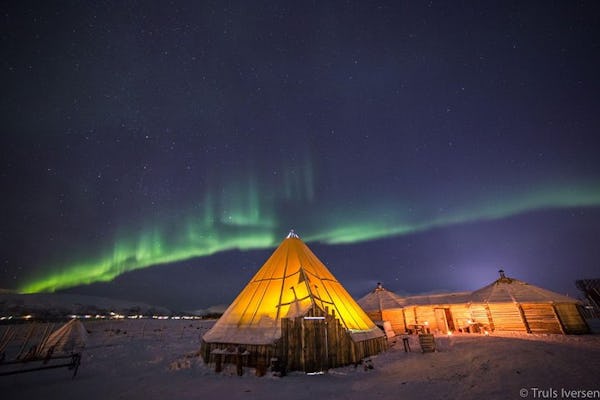 Paseo nocturno en trineo de renos con cena y auroras boreales.