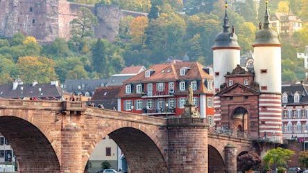 Visite privée à pied d’Heidelberg avec visite du château