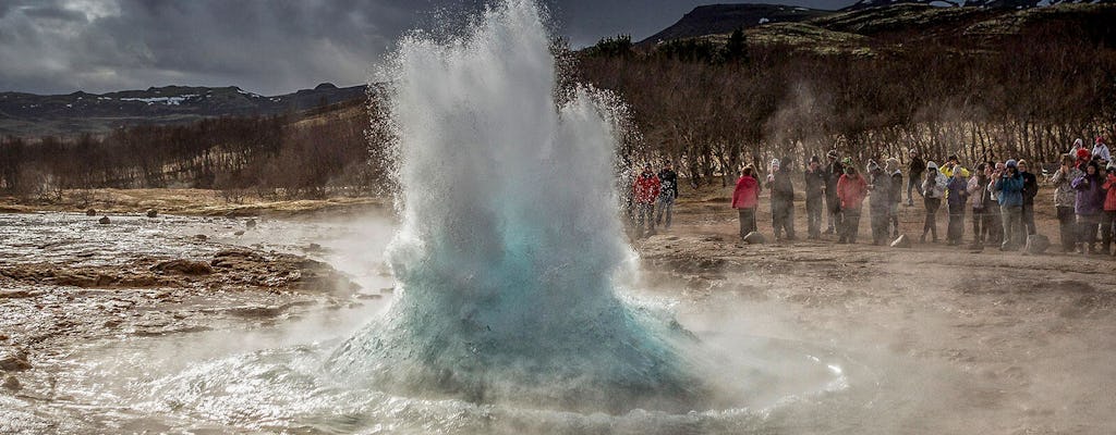 Walvissen kijken en Golden Circle