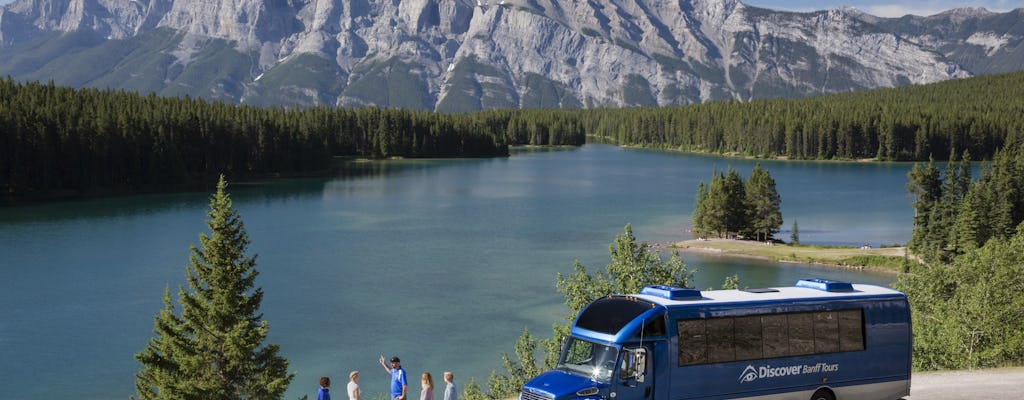 Banff and its summer wildlife tour