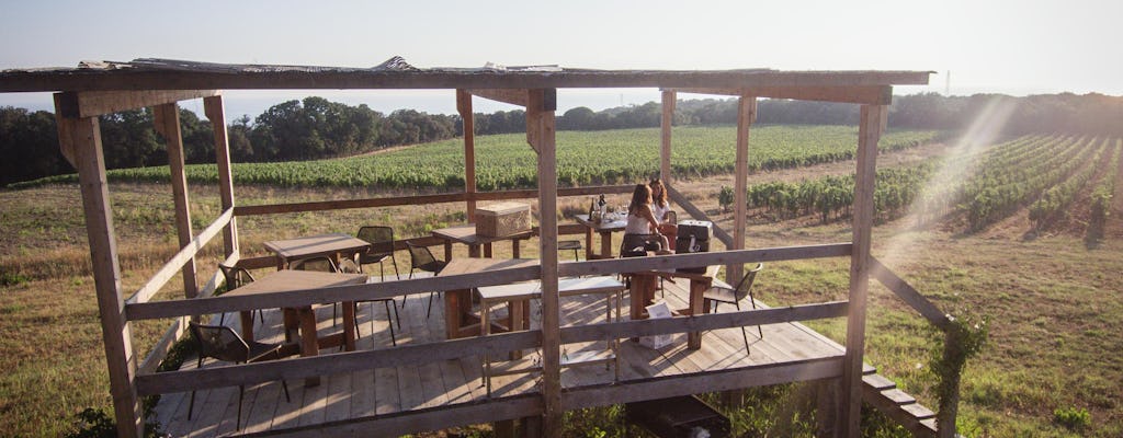 Visite panoramique du vin à Tenuta Meraviglia