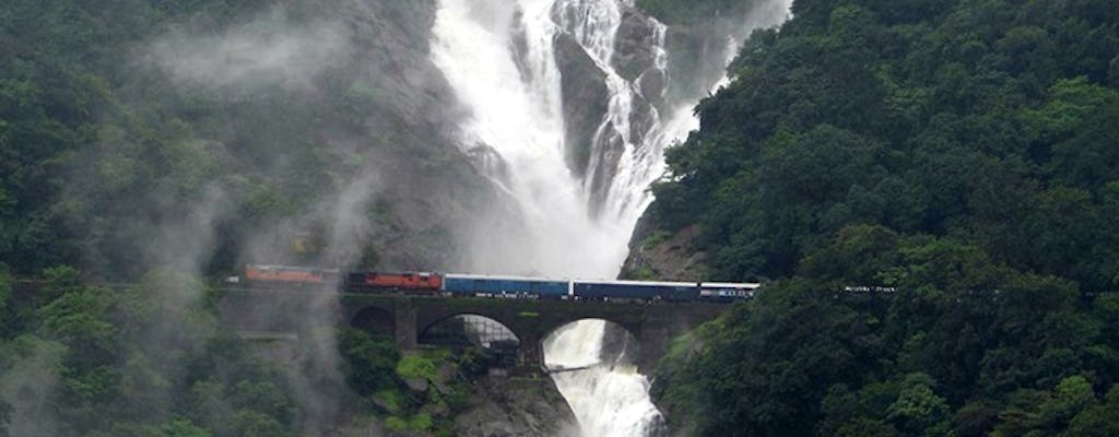 Dudhsagar Waterfall Tour with Spice Garden and Lunch