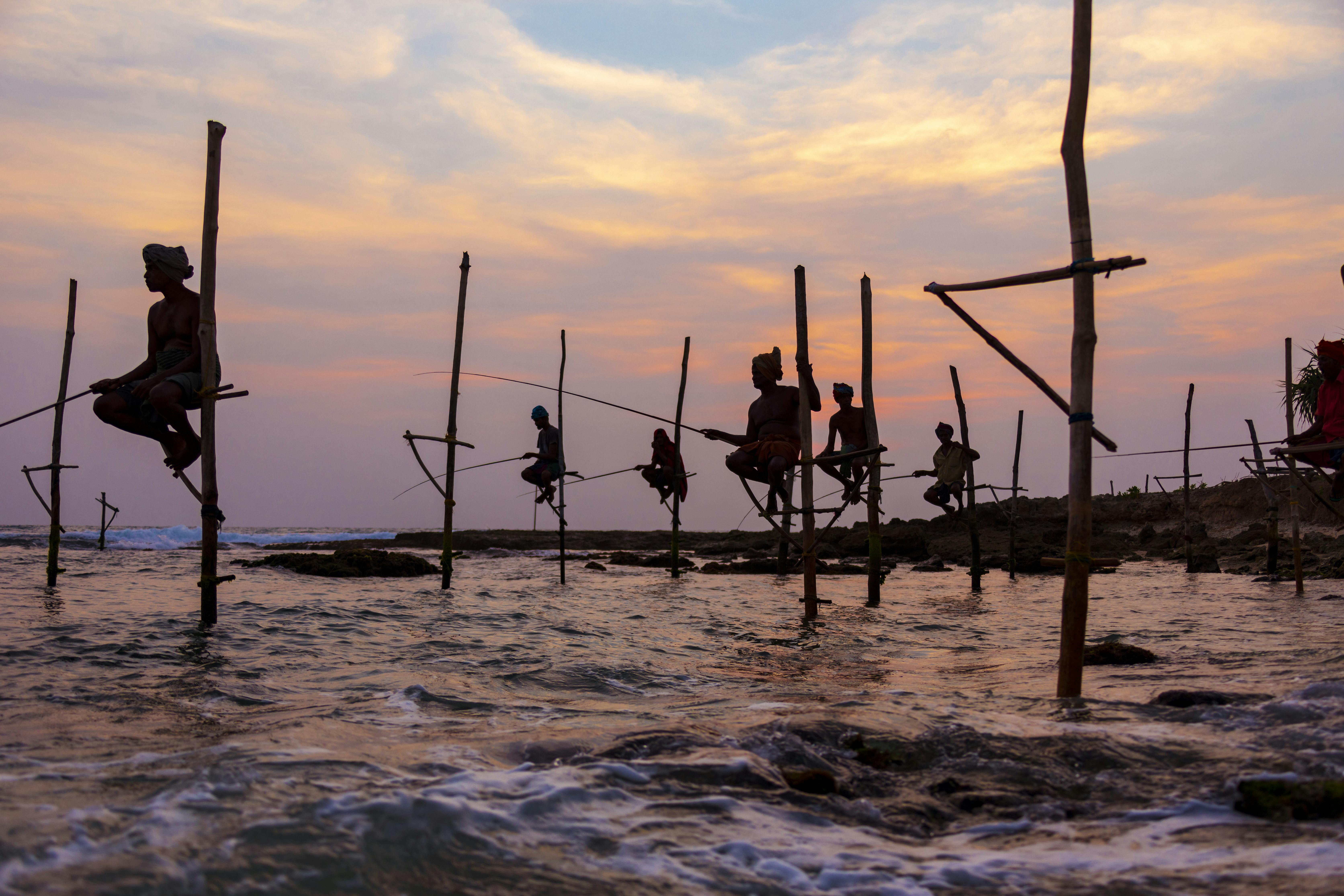 Yala safari & Galle - tvådagarstur