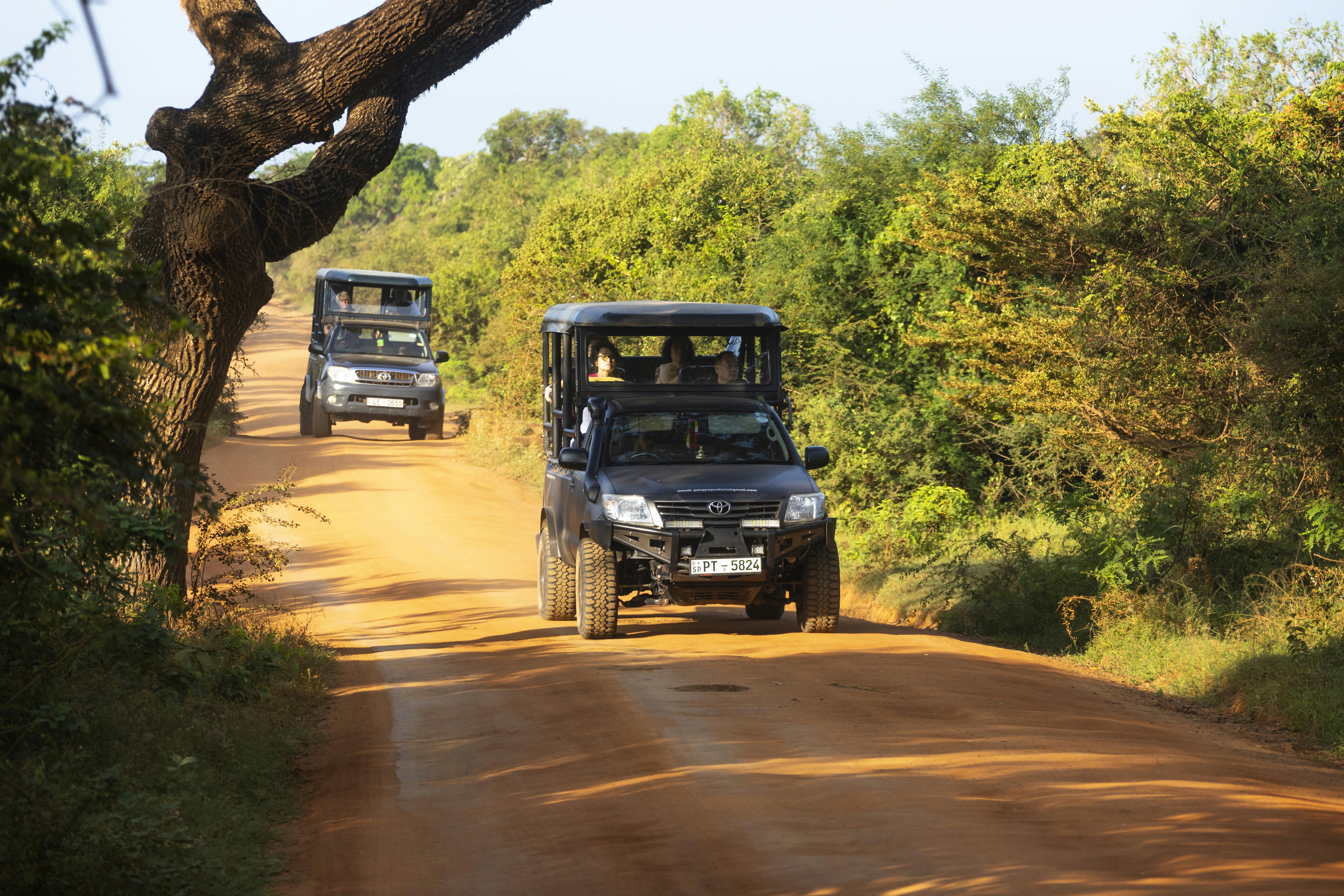 Yala safari & Galle - tvådagarstur