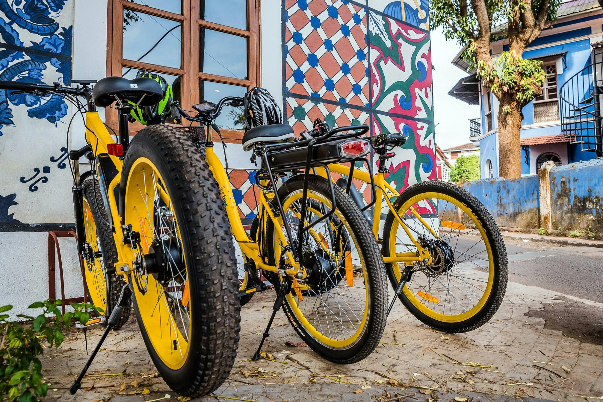 Goa E-bike Tour