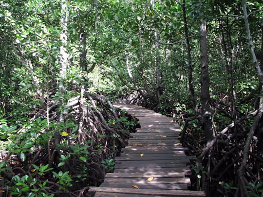 Nationalpark Jozani Chwaka Bay und Gewürzplantagen-Tour