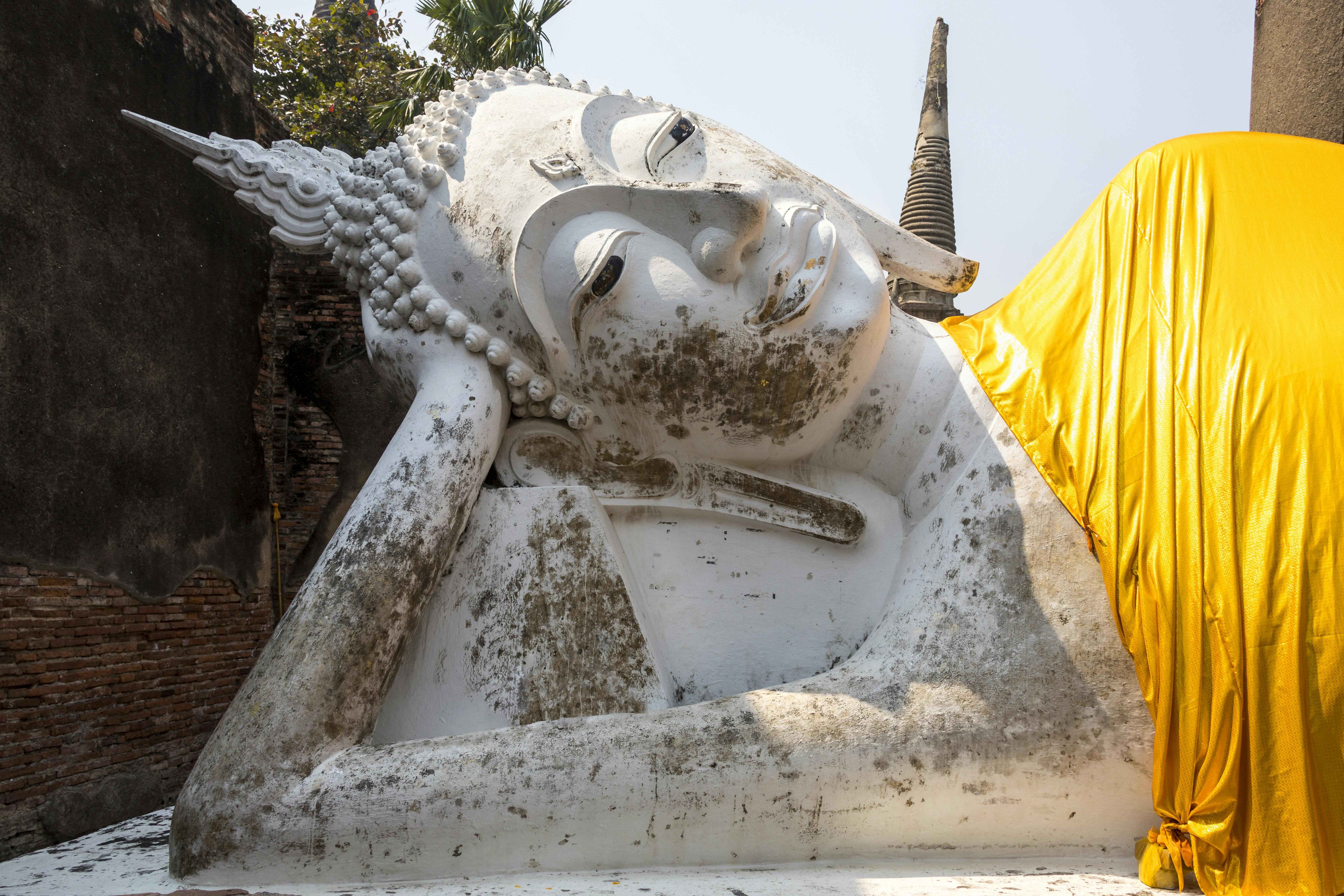 Découverte du site ancien d'Ayutthaya