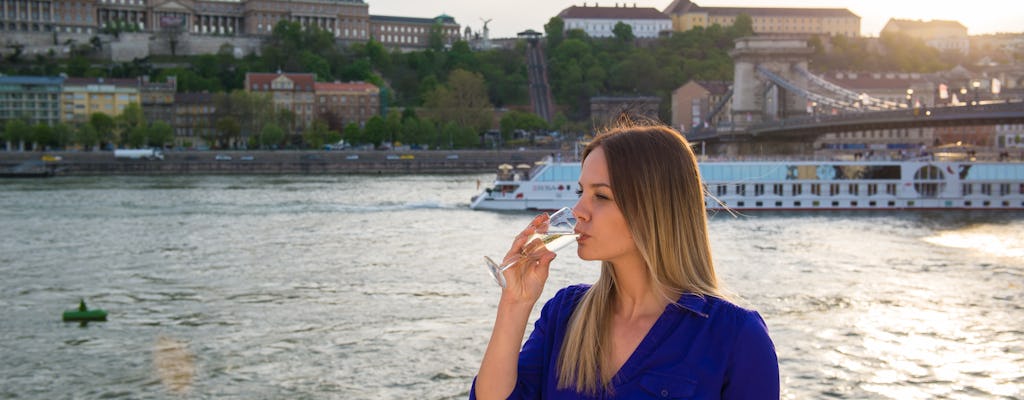 Crociera sul Danubio con drink di benvenuto