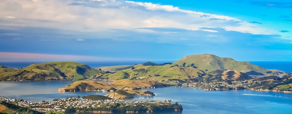 Dagtocht naar het schiereiland Otago en de stadstour Dunedin