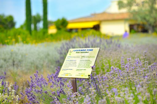 JARDIN@S.Schlaeintzauer (3)-min.jpg