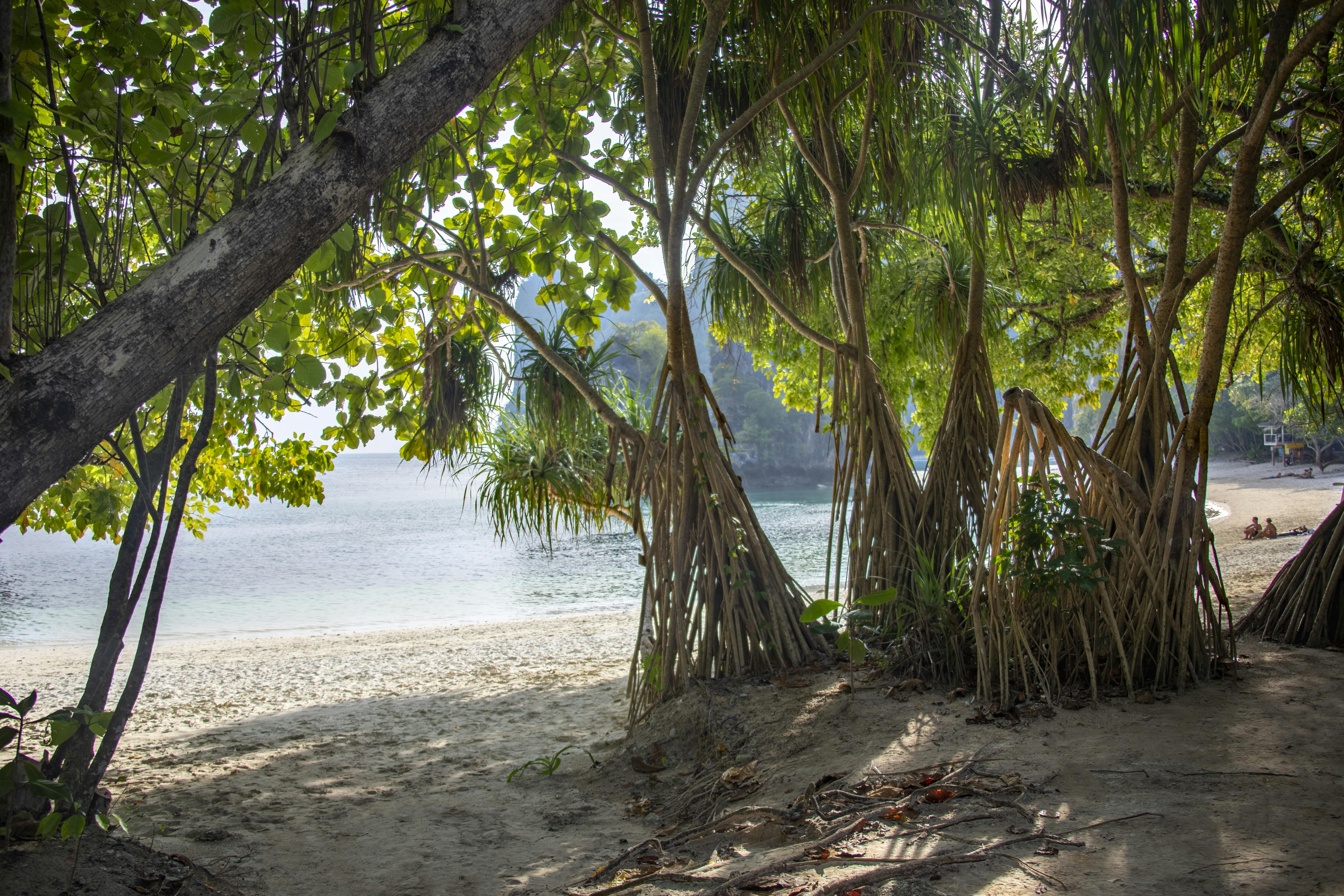 Ilha de Phang Nga e Ko Khai em lancha saindo de Khao Lak