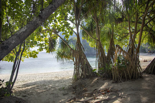 Full day Phang Nga and Ko Khai Island hopping by speedboat from Khao Lak