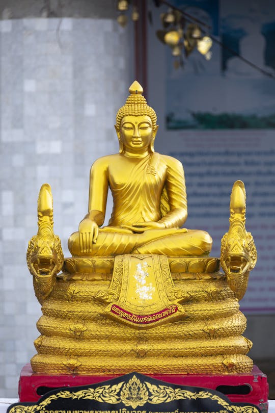 Phuket Explorer