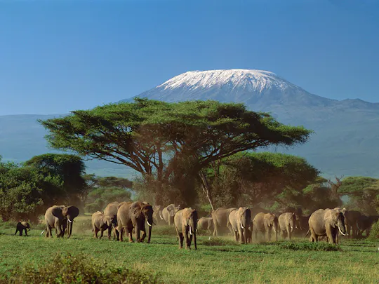 Vierdaagse Keniaanse wildsafari door Tsavo East en Amboseli