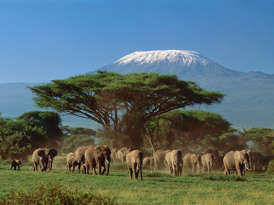 Tsavo East, Amboseli und Taita Hills 4-tägige Safari ab Mombasa