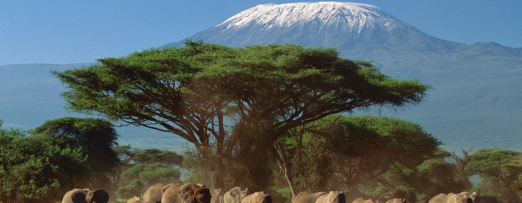 Safári de 4 dias em Tsavo East, Amboseli e Taita Hills saindo de Mombaça