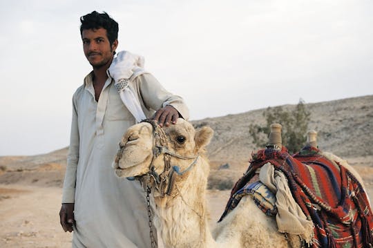 Badawya Desert Safari & Dinner Show