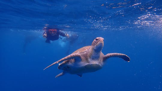 Excursão de caiaque e mergulho com snorkel em Tenerife