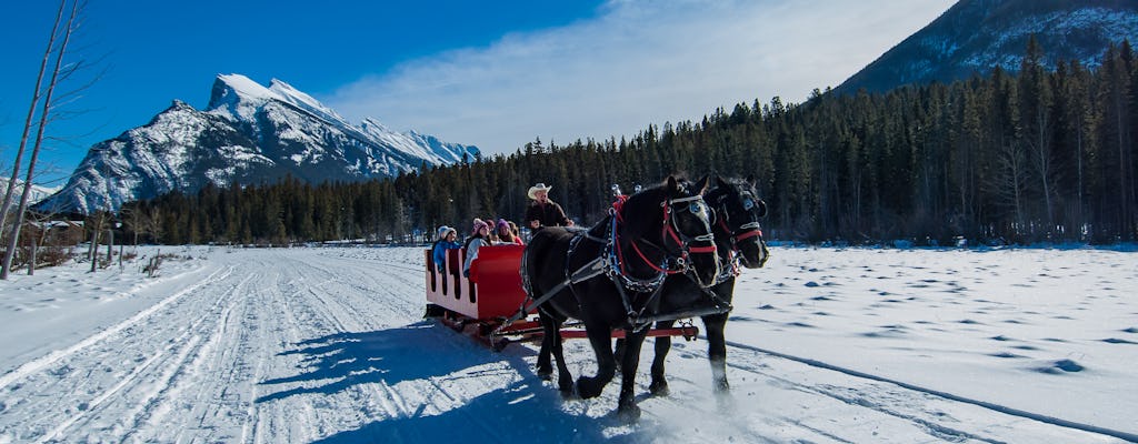 Public sleigh ride