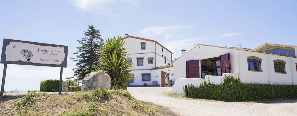 Visita a la bodega con degustación de vinos y menú a la parrilla.