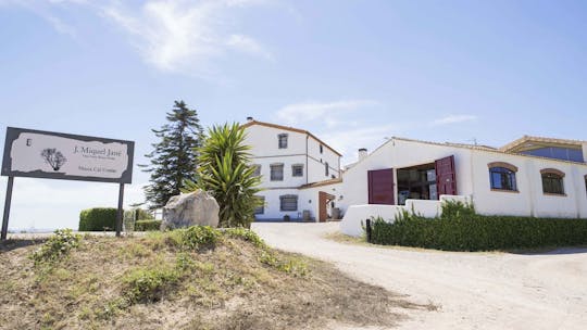 Visita in cantina con degustazione di vini e menù alla griglia