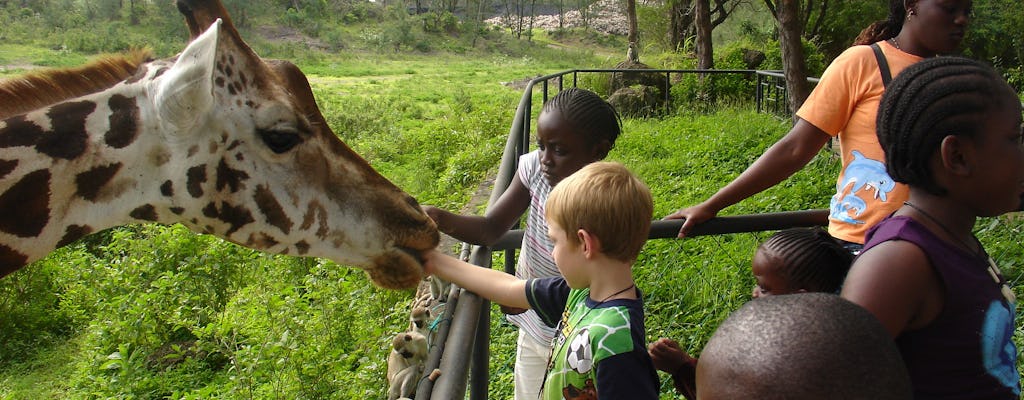 Haller Park tour