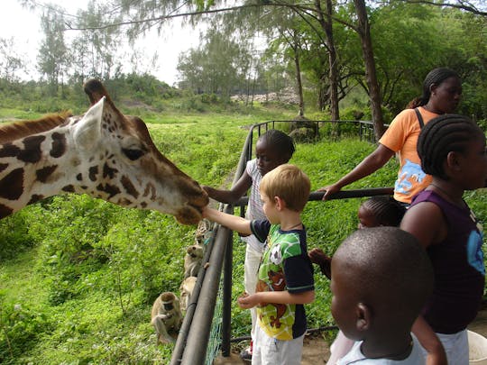 Visite du parc Haller