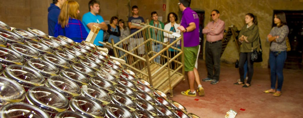 Tour della cava di un'intera giornata nel Penedès