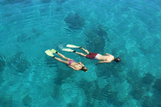 Snorkelen bij de Hamata Eilanden