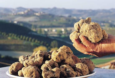 Billets coupe-file pour la foire de la truffe blanche et visite guidée du centre-ville d’Alba