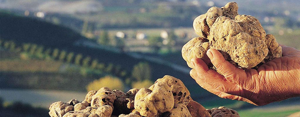 White Truffle Fair Skip-the-Line Tickets and Guided Tour of Alba City Center
