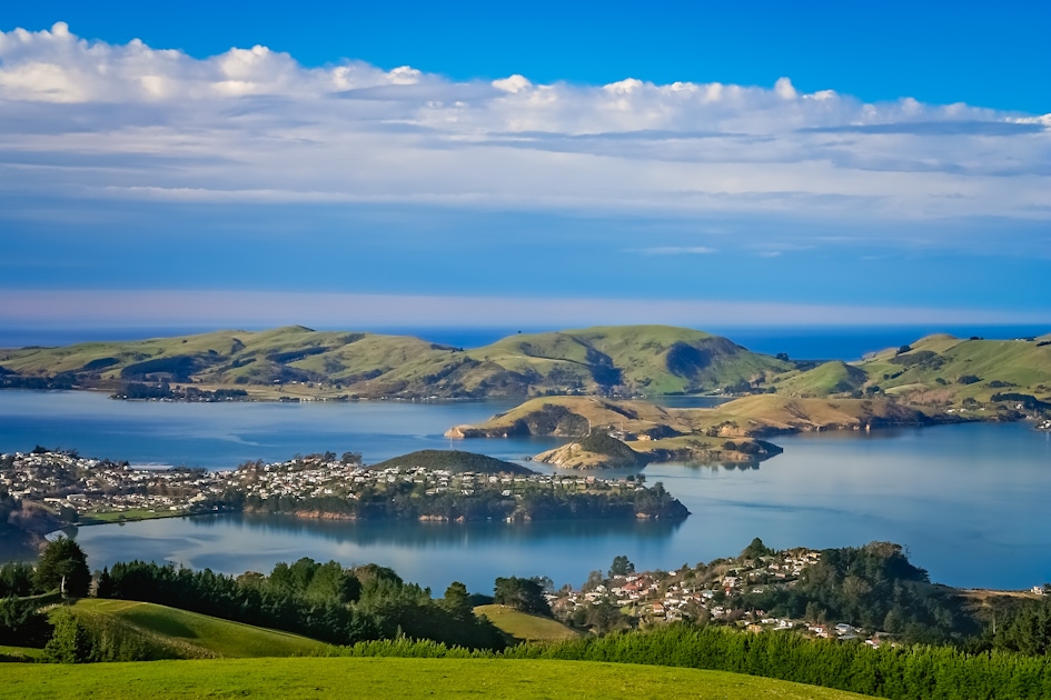 Otago Peninsula scenery, Dunedin highlights and guided tour musement