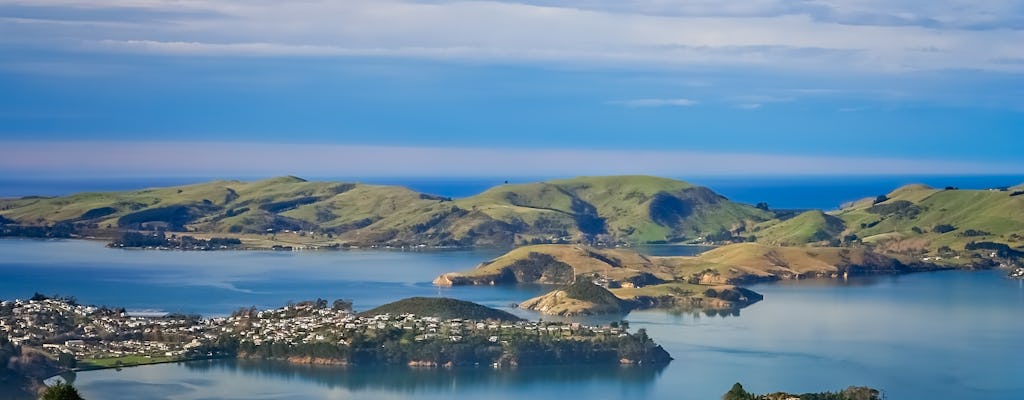 Krajobraz półwyspu Otago, atrakcje Dunedin i wycieczka po dzikiej przyrodzie