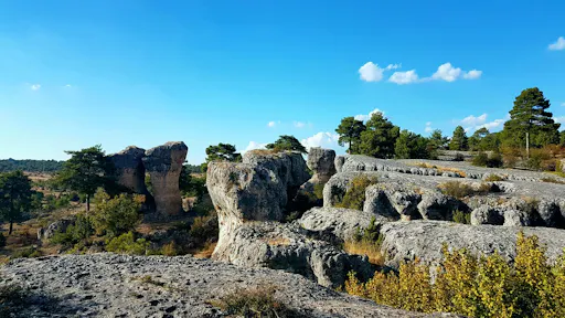 4a033708-7b86-4df6-9bd5-a66ac01b2f1a.jpeg