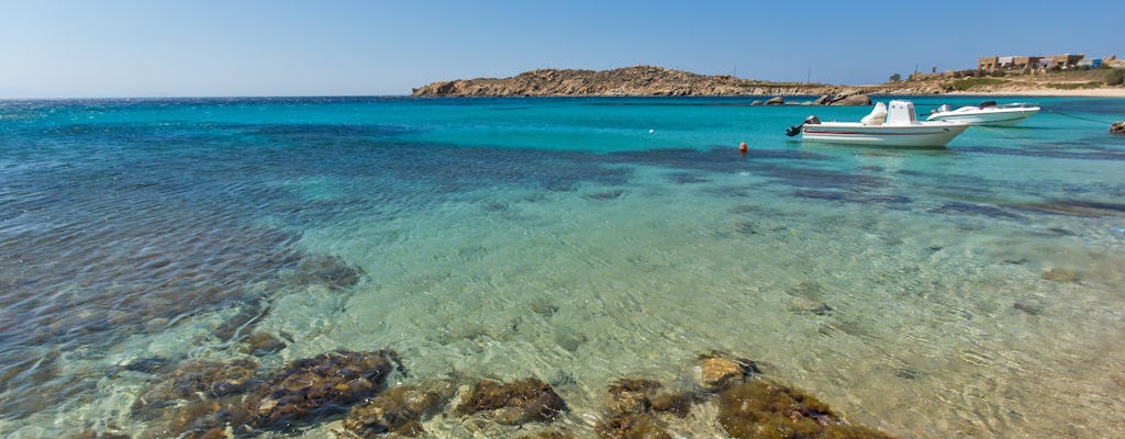 Esperienza di navigazione privata a Mykonos: costa sud e isola di Dragonisi