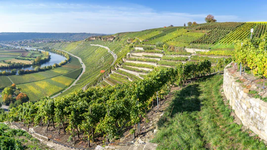 Neckar valley Segway tour