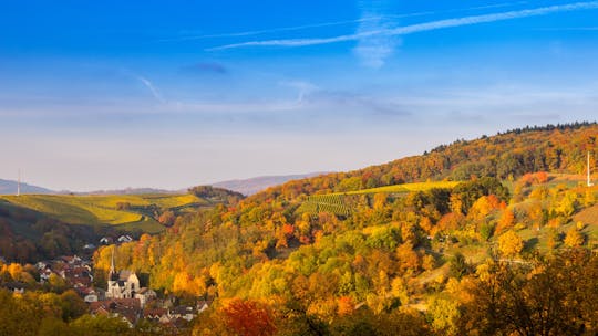 Excursión en segway a la montaña de Tromm - 